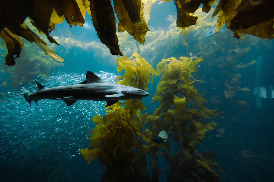 Kelp DAO Exploit Exposes $290M Flaw in rsETH Collateral System